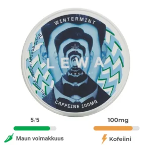 Lewa Wintermint energiapussit